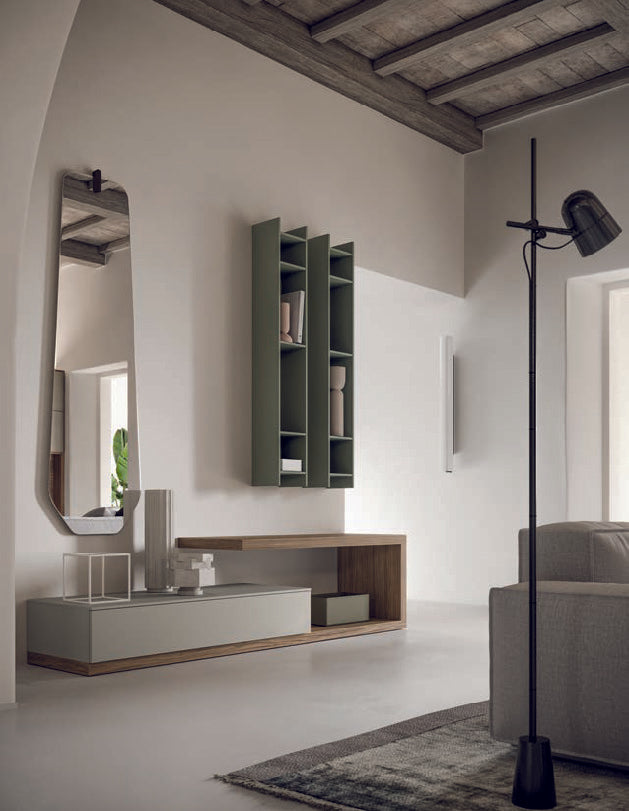 Homy composition (GS221)